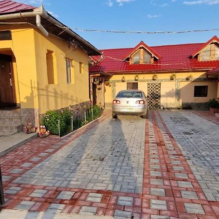 Pensiunea Casa Andreea Новач-Стрэйни Экстерьер фото