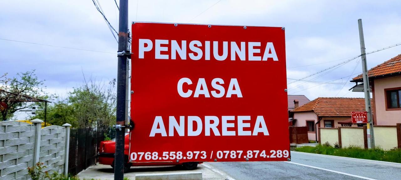 Pensiunea Casa Andreea Новач-Стрэйни Экстерьер фото