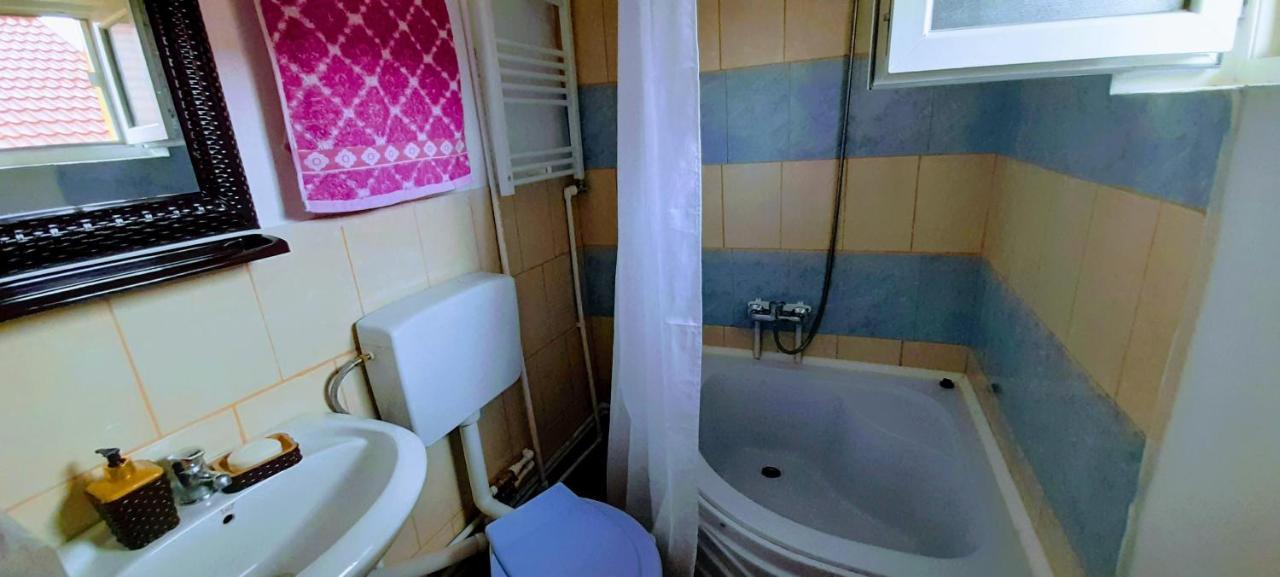 Pensiunea Casa Andreea Новач-Стрэйни Экстерьер фото