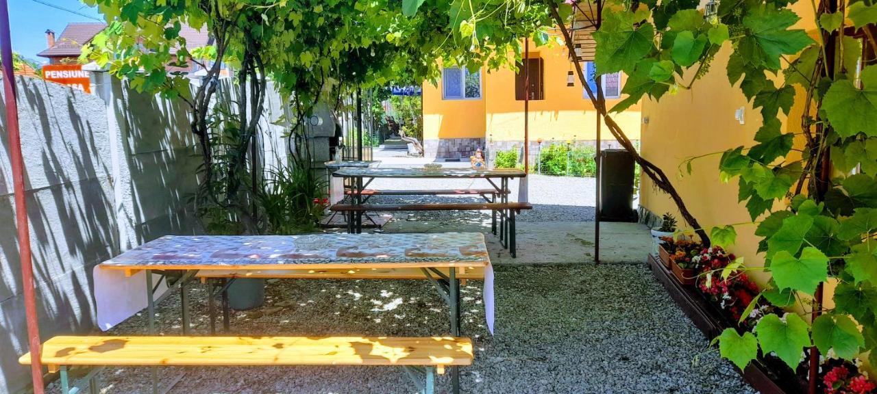 Pensiunea Casa Andreea Новач-Стрэйни Экстерьер фото