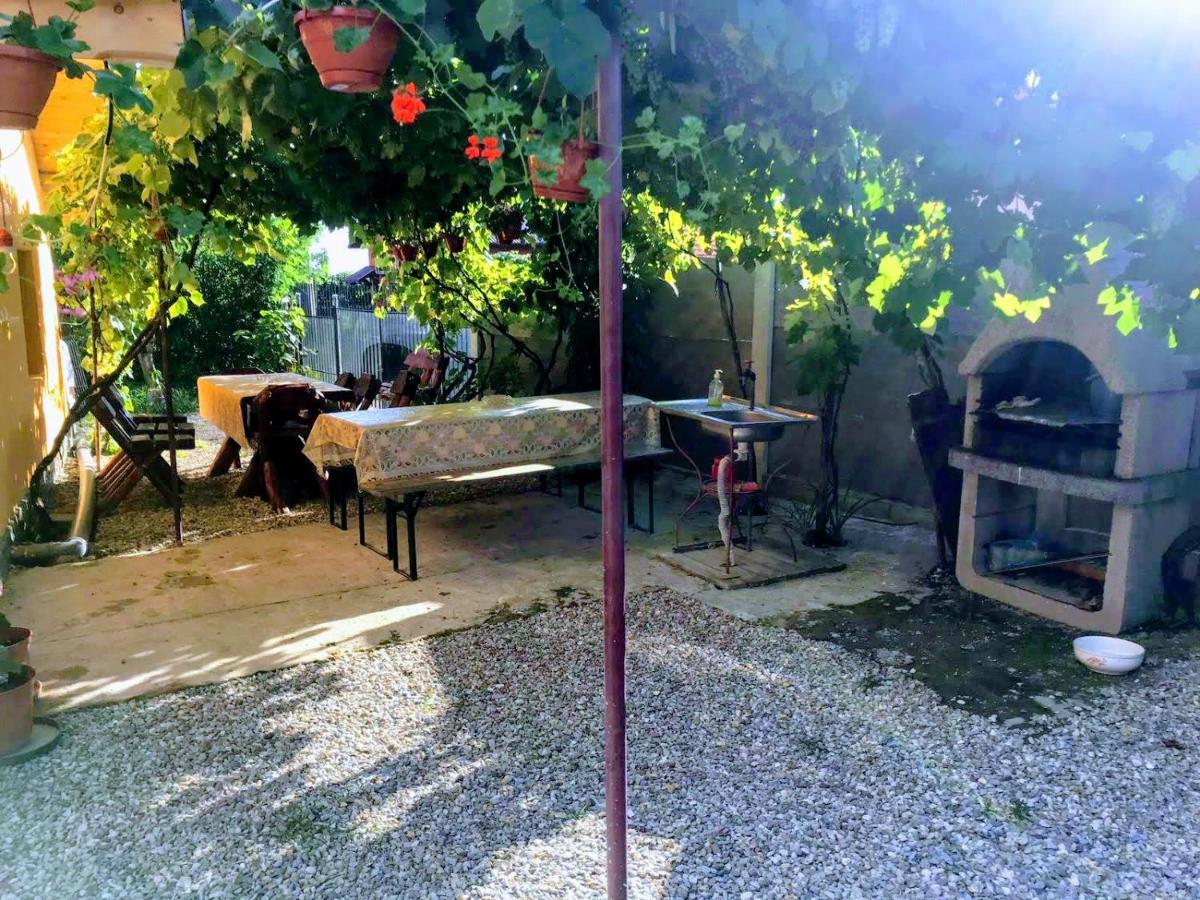 Pensiunea Casa Andreea Новач-Стрэйни Экстерьер фото