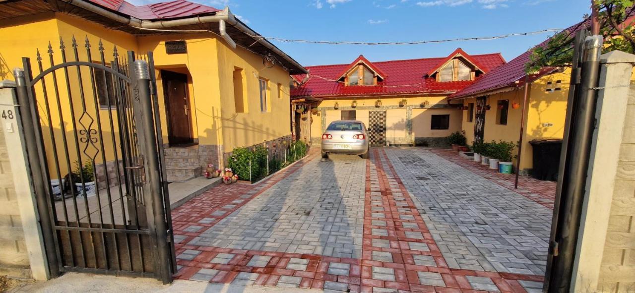Pensiunea Casa Andreea Новач-Стрэйни Экстерьер фото