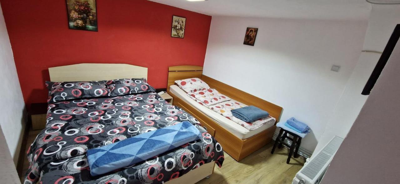 Pensiunea Casa Andreea Новач-Стрэйни Экстерьер фото