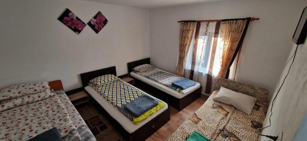 Pensiunea Casa Andreea Новач-Стрэйни Экстерьер фото