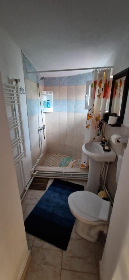 Pensiunea Casa Andreea Новач-Стрэйни Экстерьер фото