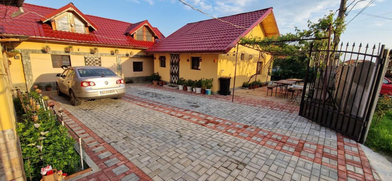 Pensiunea Casa Andreea Новач-Стрэйни Экстерьер фото