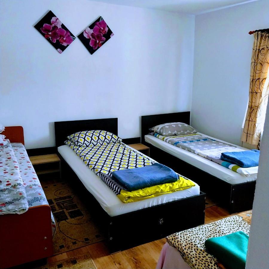 Pensiunea Casa Andreea Новач-Стрэйни Экстерьер фото