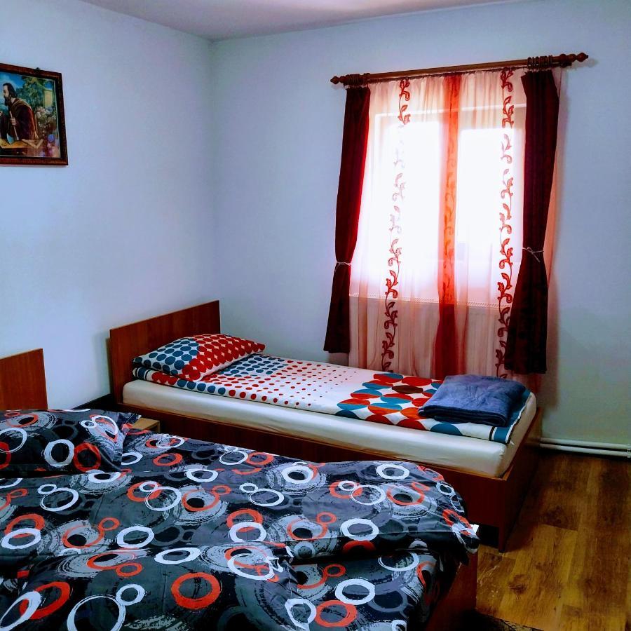 Pensiunea Casa Andreea Новач-Стрэйни Экстерьер фото